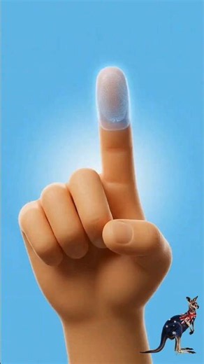 fingerprint 3 layers deep dermal papillae fingerprint anatomy mp4
