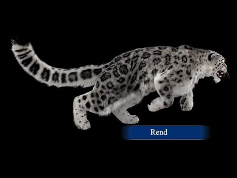 Animated Snow Leopard 3D Model with realistic Fur | PROmax3D