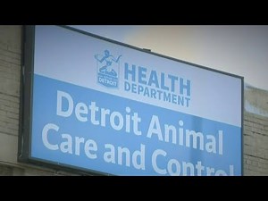 Local 4 News at 6 -- June 23, 2021