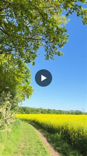 #worldbeeday #biodiversity #pollinators #sustainability #natureinspires | Fatima Alayan