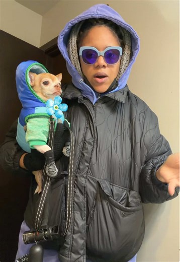 I’m over it it , he doesn’t like layers or the cold lol 😂 🐾🐾 #dog #chiuhuahua #dogmom #dogs #snow 💕💕💕😂