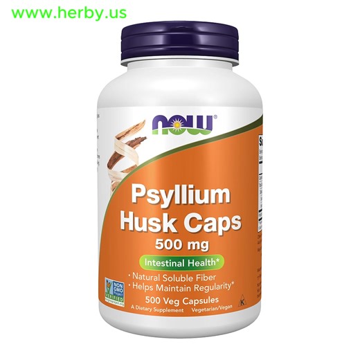 Psyllium Husk Tips for a Healthier Gut