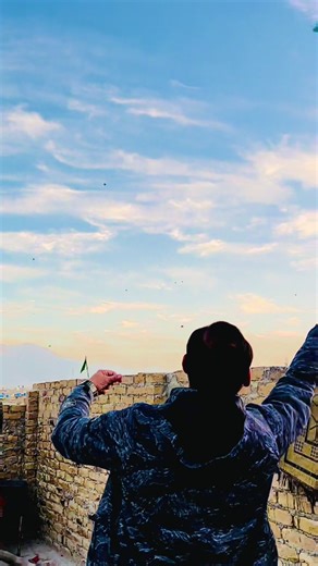 The Art of Kite Flying: Tips for Enthusiasts