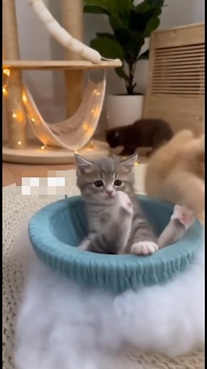 Just some cute kittens doing cute kitten things! #aigenerated #MadewithAI #notreal | Oops, AI Did It Again