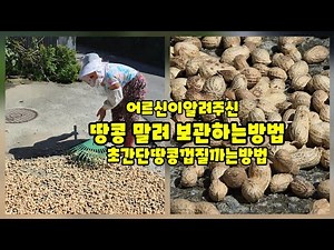 어르신이알려주신 땅콩말려보관하는 방법. 초간단땅콩껍질까는법배워봅니다 [땅콩농사잘짓는방법]