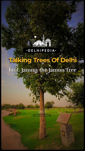 2K views | Welcome to “Talking Trees of Delhi!” In this episode, meet...