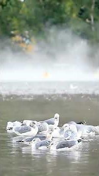 Hidden Beauty of Osoyoos Revealed! #Osoyoos #OkanaganValley #LakeLifeCanada