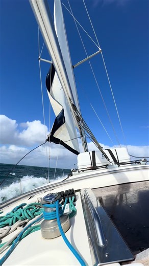 Sailing the Canaries Jan 2026