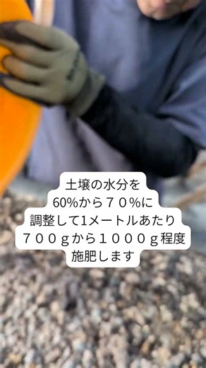 🍓 いちご農家さん必見！太陽熱消毒 × 土づくり × 元肥を一度に終わらせる方法、有機ぼかし肥料『ステップアミノ』で✅ 太陽熱消毒✅ 土づくり✅️ いちごの元肥を同時に、一度の作業で完結させます💡