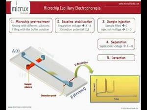 Microchip Electrophoresis - MicruX