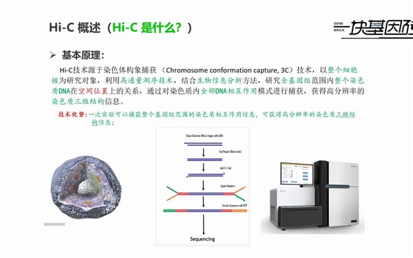 【20220524】【Hi-C 技术的What, Why and How】