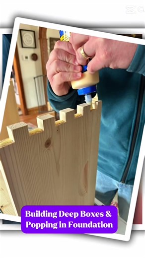 Building Hive Boxes and Popping in Deep Foundation into frames.