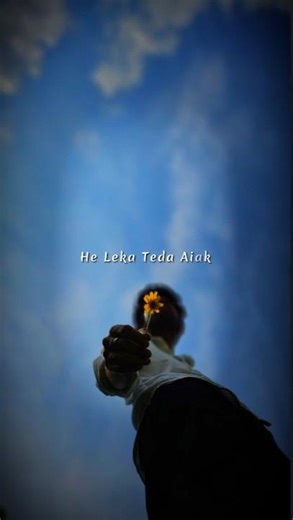 He Leka Teda Aiak💓#bastarlofimusic #bastarlofi #halbisong #coversong #halbistatussong#halbistatus07