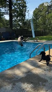 Vacation's off to a great start! 🤣 #afv #fail #funny | America's Funniest Home Videos