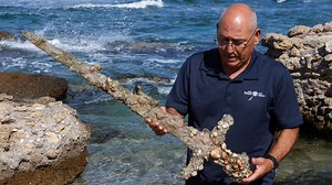 Israel: Un buzo encuentra una espada de hace 900 años en el fondo del mar Mediterráneo [VIDEO]