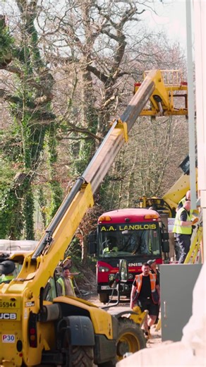 🪏Going, going, gone! The dividing wall between our current and new gorilla house has come down. Another milestone complete. Not long now until our official opening 💚🦍 #jerseyzoo #gorilla #animal #zoo