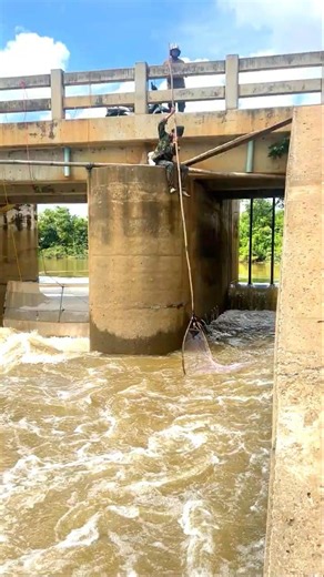 Real Life 100% Net Fishing In River At The Countryside (Part 1667) #fishing #fish #new