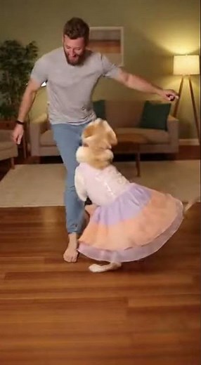 Dog Dances With Owner—Perfect Timing Every Step!