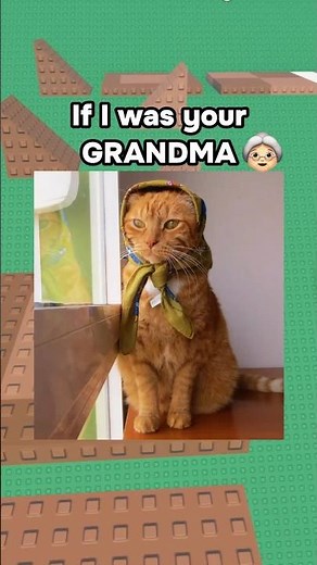 If I Was Your Grandma 👵😭 #roblox #robloxrant #relatable #rblx