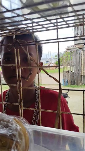 Dynamic Birthday and Wedding Hosting Services