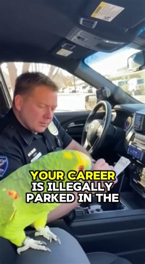 Parrot Trolls Police Officer Hard #funnyshorts #parrot #police