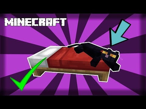 ✔ MINECRAFT | How to Find and Tame a Black Cat! 1.14.4