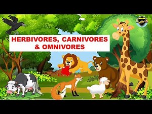 Herbivores | Carnivores | Omnivores | Types of Animals