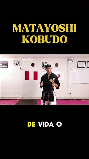 MATAYOSHI KOBUDO: the art that turns EVERYTHING into a weapon 🔧