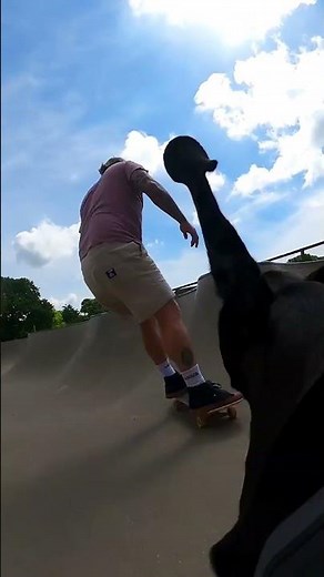 GoPro | The Best Filmer of all Time? 🎬 Richard Inskip #Shorts #Dog