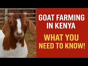 How many Goats to Start a Commercial Goat Farm? Goat Farming in Kenya: A Beginner's Guide