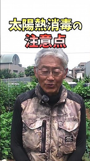 Solar disinfection improves the soil after growing summer vegetables in your home garden or farm!...