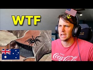 American reacts to the Top 5 Australian Spiders