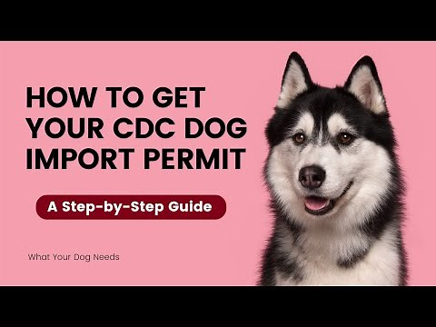 How to Get Your CDC Dog Import Permit : A Step-by-Step Guide | What You Dog Needs