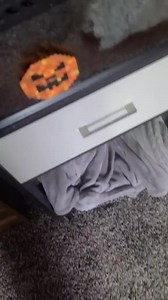 his name is Mold . . . . #bigchungus #bigfrog #frog #africanbullfrog #dangerfrog | Nubbeez