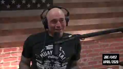 Reptile Hybrid (@Reptile_Hybrid) on X