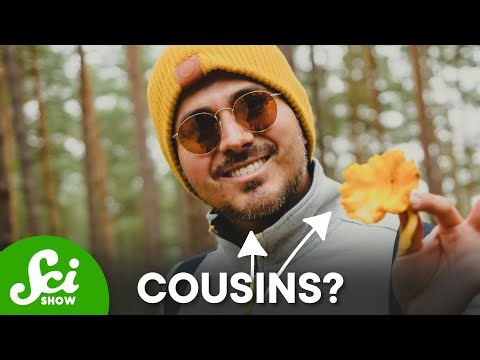 You're Basically A Mushroom