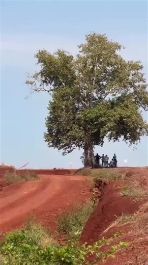 #wrcrallye #marathon #wrc #viral