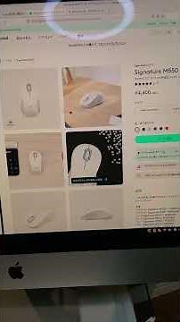 静音マウスの決定版! このマウスは無駄なボタンが無くシンプルで静音で気持ちいい！（ロジクール M550 Lサイズ）