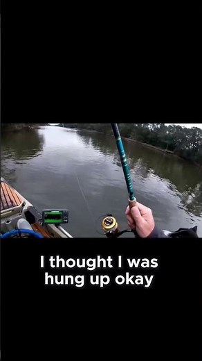 First Sheepshead Catch of the Day! Gulf Shores