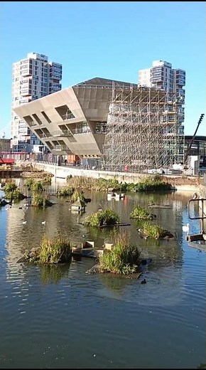 Canada Water library is unique