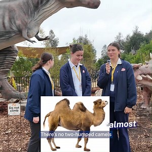 76K views · 196 reactions | Happy National Science Week! ⚗️ Students visiting Sydney Zoo dropped some wild science facts on us this week! Think you can top their trivia? What's your favourite science tidbit? ✨ #LoveWhereYouLearn #ScienceWeek | NSW Department of Education | Facebook