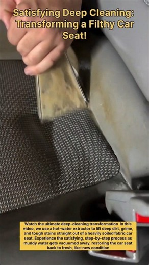 Satisfying Deep Cleaning: Transforming a Filthy Car Seat