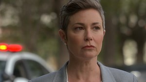 Criminal Minds season 10 Lockdown Reviews - Metacritic