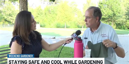 Weekend Gardener: Stay safe while gardening on hot days