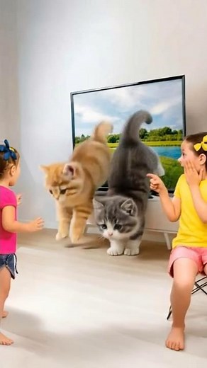 Wild Animals at Home! Learn Animal Names