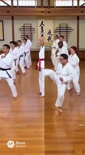 Beginner Class vs. Advanced Class #ai #martialarts #comedy #comedyshorts #jokes #funny #humor #edit