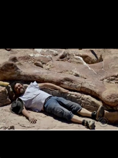 The largest dinosaur bones ever discovered #archeology #fyp #viral #trending #discovery