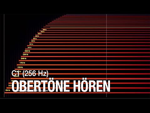 Wieviele Obertöne kannst du hören ?