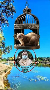 Show the mongoose by taking it out of the cage #reels #virals #puzzle #mongoose #cage #Amazing #challenge | Jusna Akther Dina